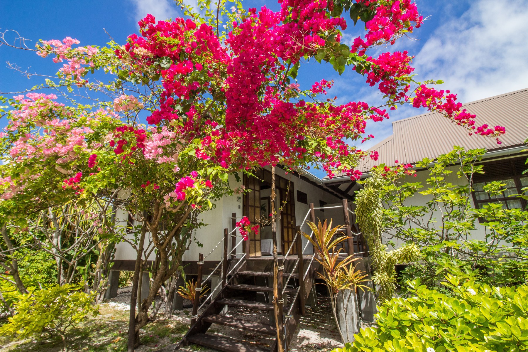 Bungalow Jardin